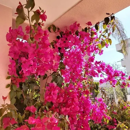 Buganvilia House * *